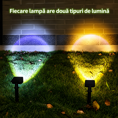 Proiector Solar LED Exterior