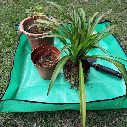 Covor Pliabil Transplantare Plante