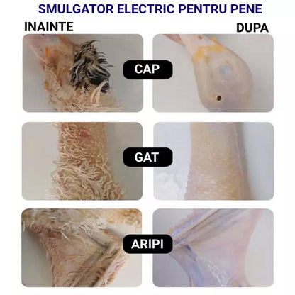 Aparat Electric pentru Îndepărtarea Penelor