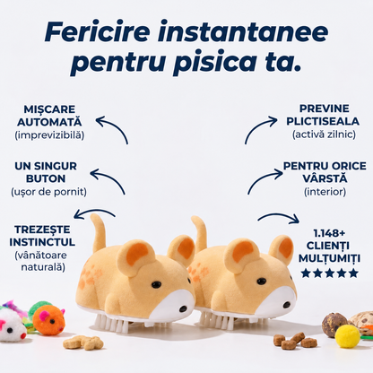 Jucărie Interactivă Pentru Pisici