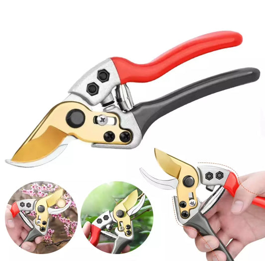 FOARFECĂ GRĂDINĂRIT