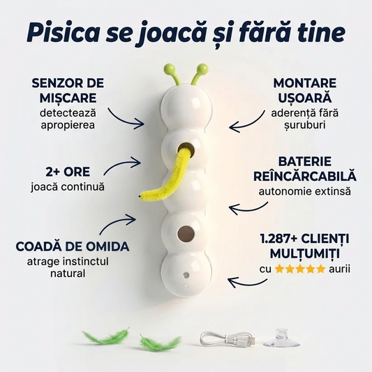 Jucărie Interactivă Omidă Pisici