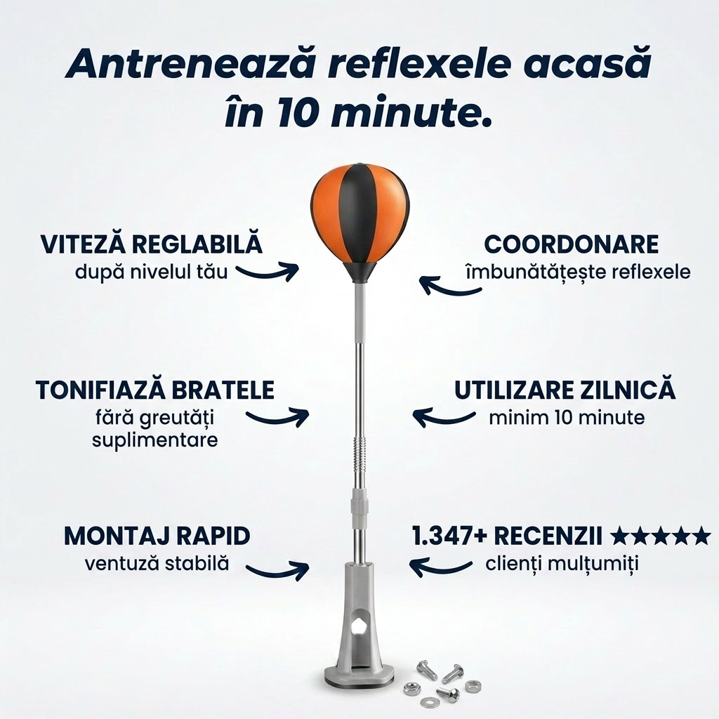 Minge Box Antrenament Acasă