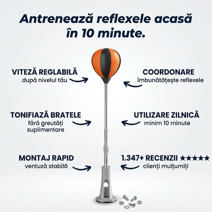 Minge Box Antrenament Acasă
