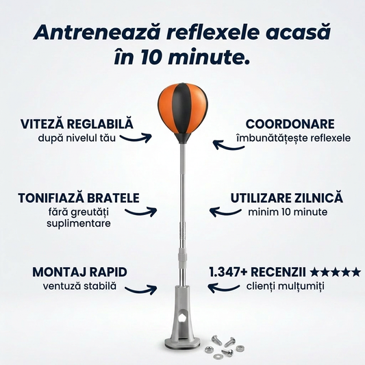 Minge Box Antrenament Acasă