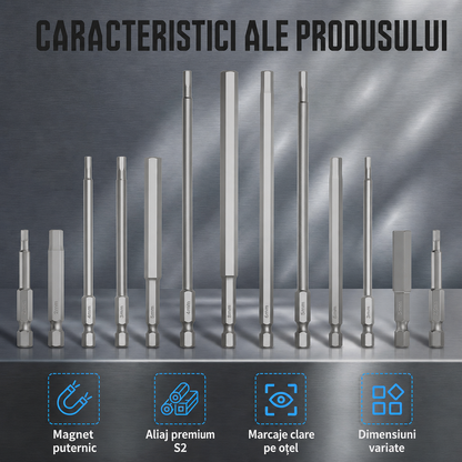 Set Biți Hex Magnetici
