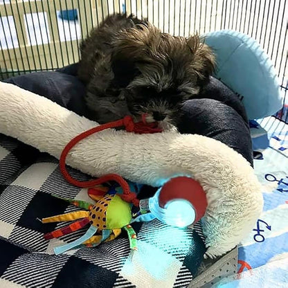 Minge Automată Inteligentă și Jucăușă