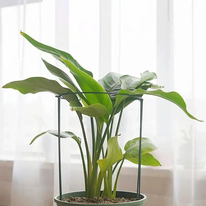 Suport Metalic Plante Înalt