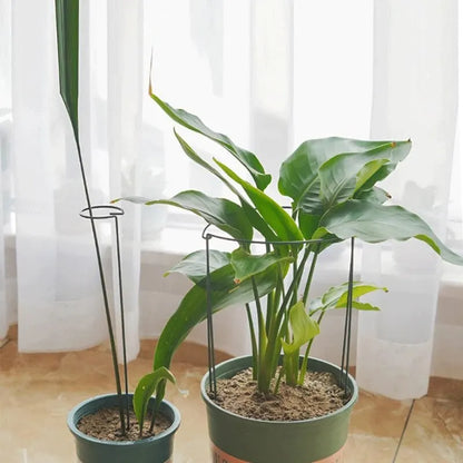 Suport Metalic Plante Înalt