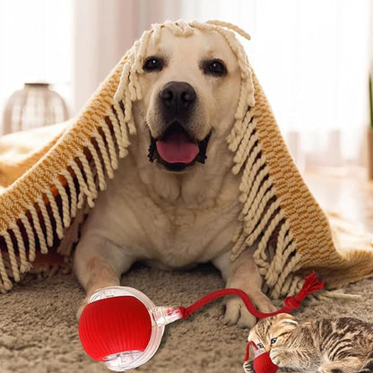 Minge Automată Inteligentă și Jucăușă