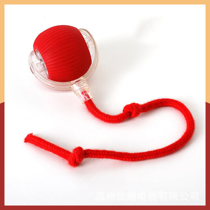 Minge Automată Inteligentă și Jucăușă