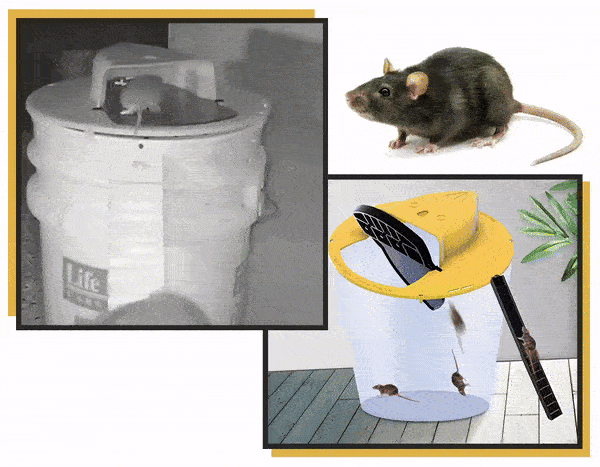 Sistem de Capcană Automată pentru Șoareci