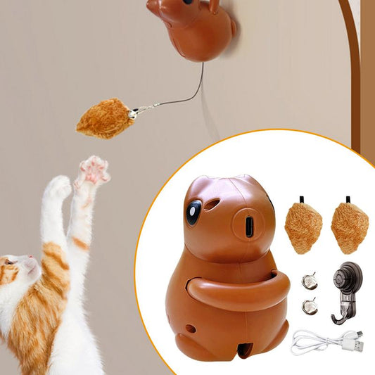 JUCĂRIE INTERACTIVĂ PENTRU PISICI