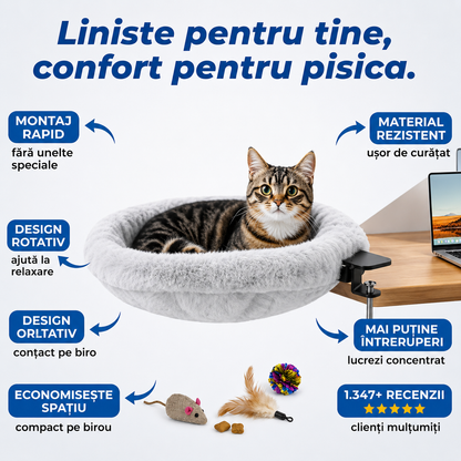 Pat Birou Rotativ Pisici
