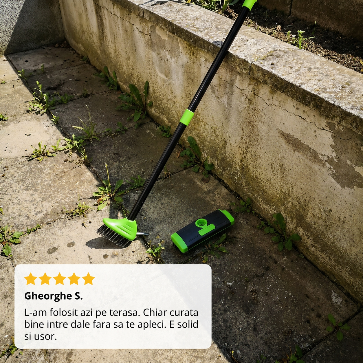 Perie Curățare Grădină Extensibilă