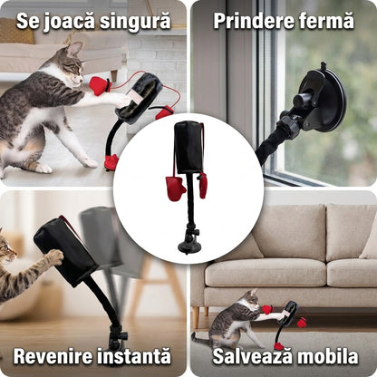 Sac Box pentru Pisici
