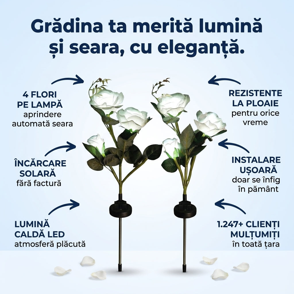 Lumini Solare Trandafir Grădină