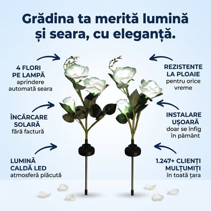 Lumini Solare Trandafir Grădină