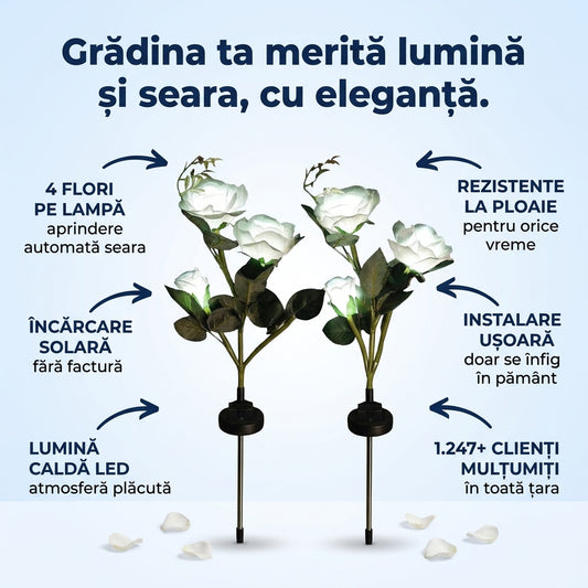 Lumini Solare Trandafir Grădină