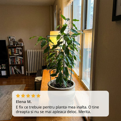Suport Metalic Plante Înalt