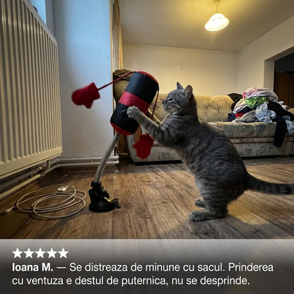 Sac Box pentru Pisici