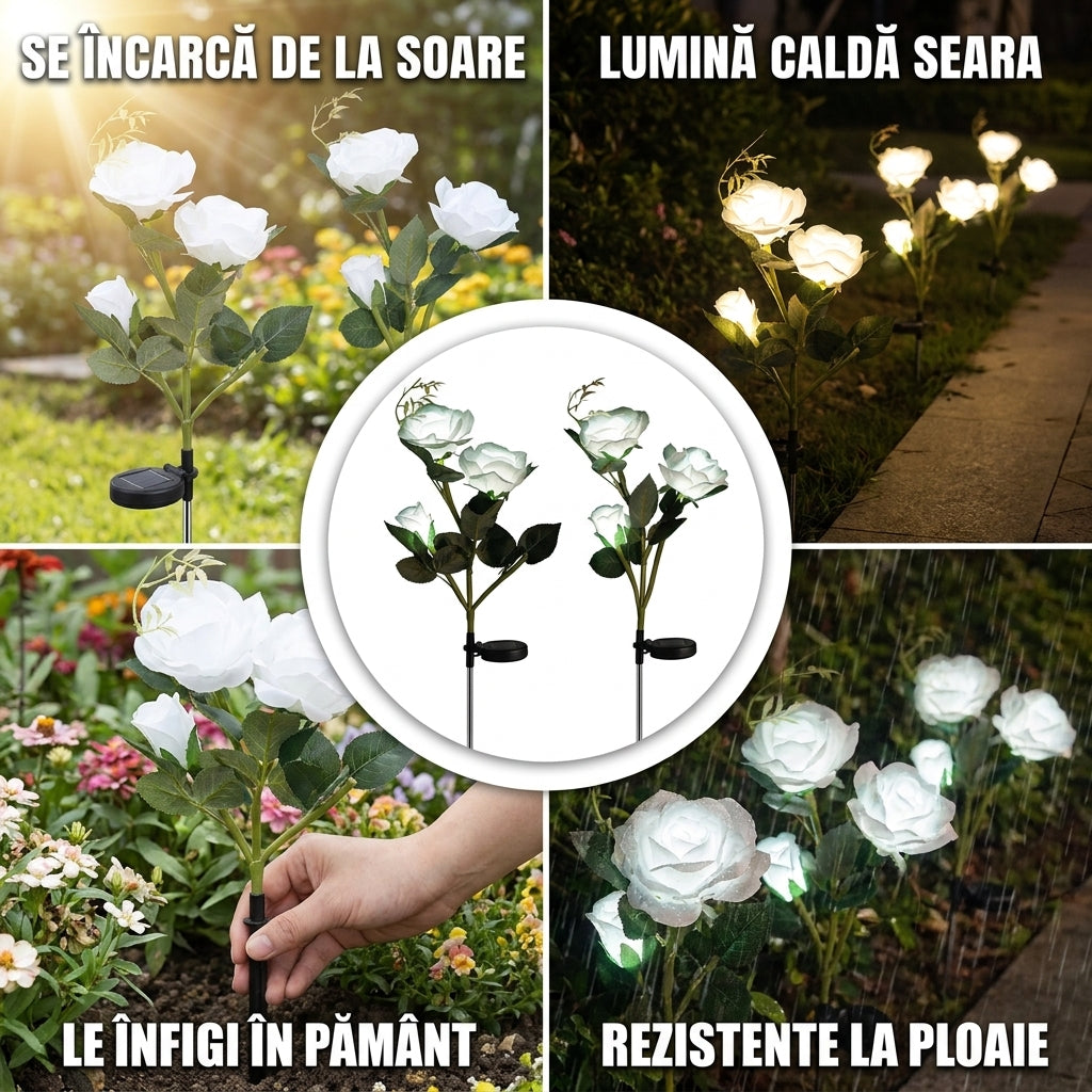 Lumini Solare Trandafir Grădină