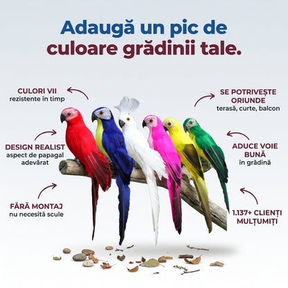 Ornament Grădină Papagal