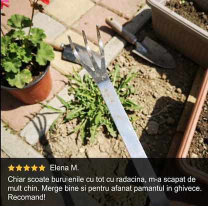 Unealtă Îndepărtare Buruieni