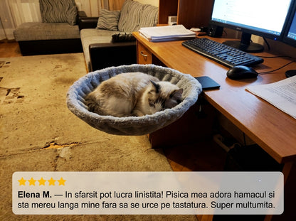 Pat Birou Rotativ Pisici