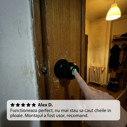 Încuietoare Smart cu Amprentă