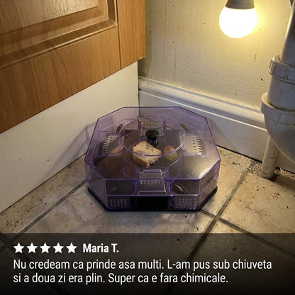 Capcană Gândaci Reutilizabilă