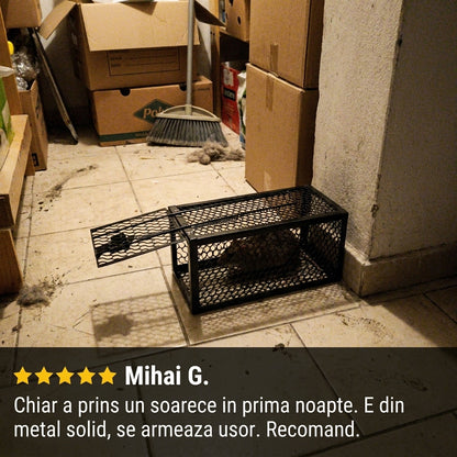 Capcană Metalică De Șoareci