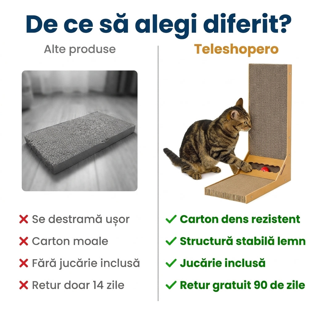 Carton Ondulat Pentru Pisici