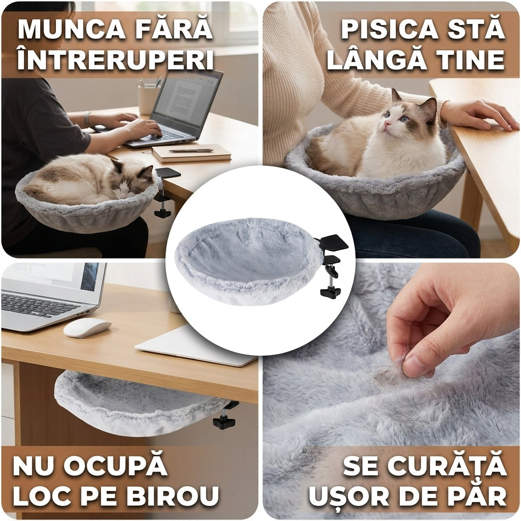Pat Birou Rotativ Pisici