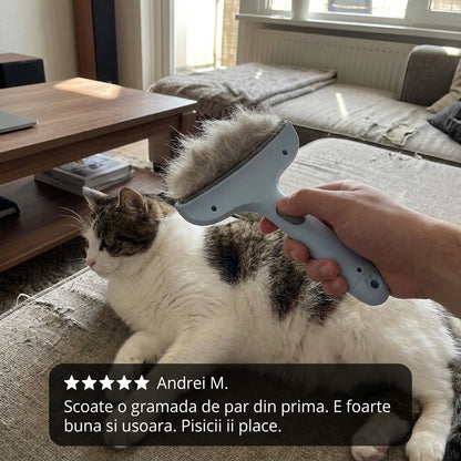 Perie Îndepărtat Păr Câini