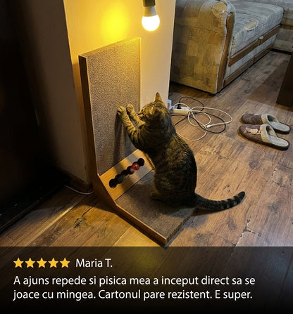 Carton Ondulat Pentru Pisici
