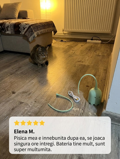 Jucărie Interactivă pentru Pisici