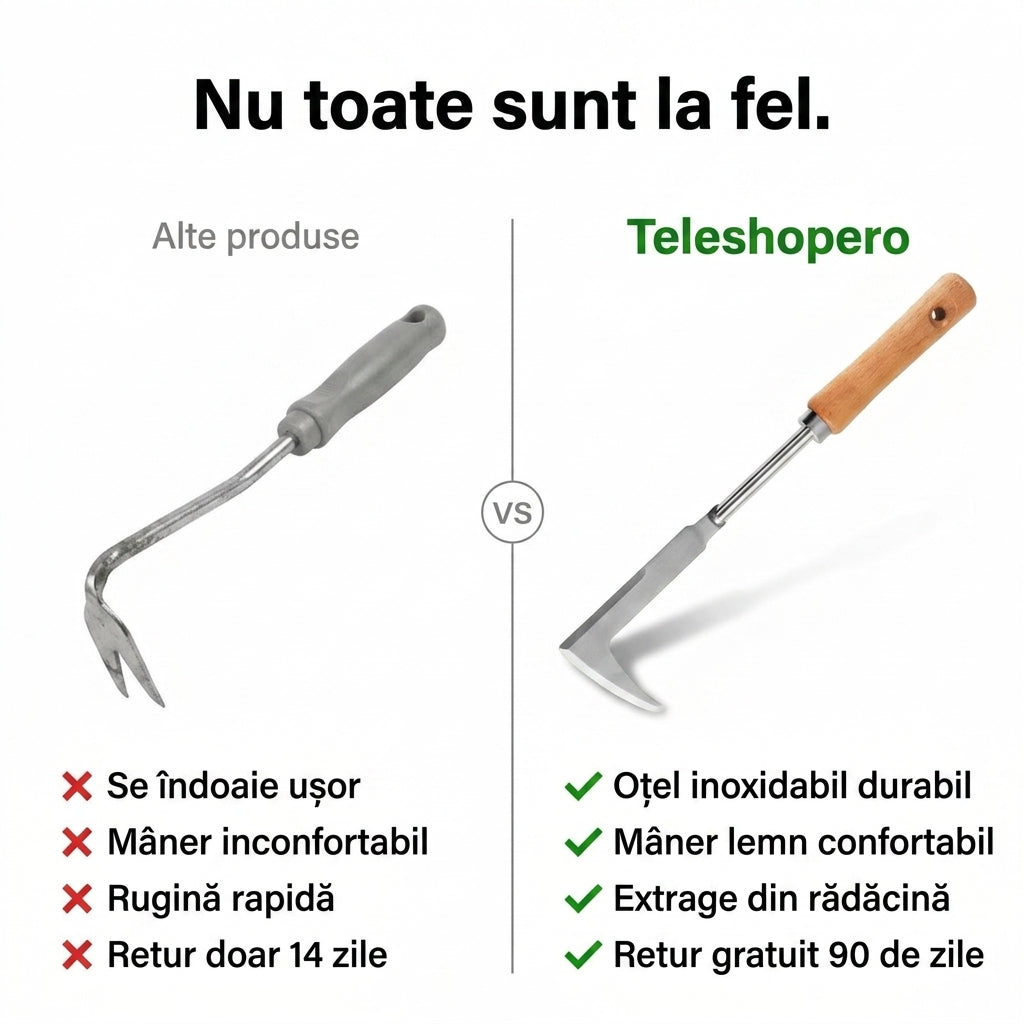 Unealtă Curățare Rosturi Pavaj