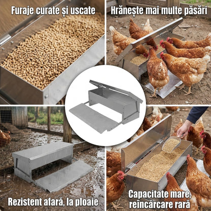Hrănitor Automat Păsări Curte