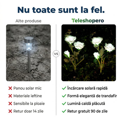 Lumini Solare Trandafir Grădină