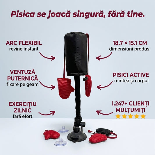 Sac de Box pentru Pisici cu Ventuză