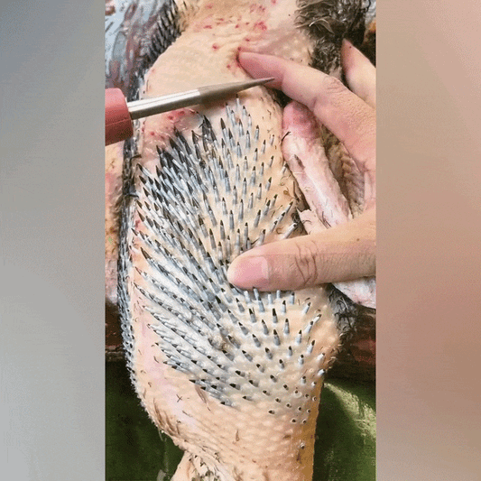 Aparat Electric pentru Îndepărtarea Penelor